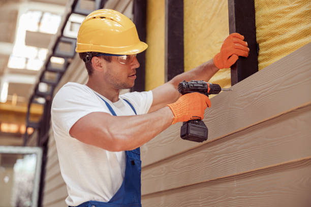 Best Steel Siding Installation  in Platte, SD