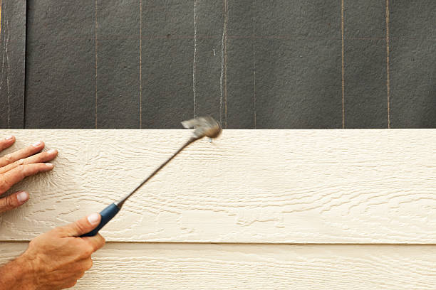 Best Fiber Cement Siding Installation  in Platte, SD