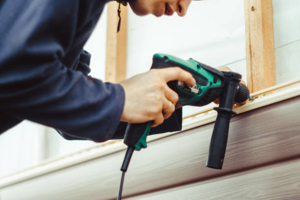 Best Historical Building Siding Restoration  in Platte, SD